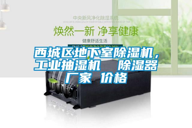 西城區(qū)地下室除濕機，工業(yè)抽濕機  除濕器廠家 價格