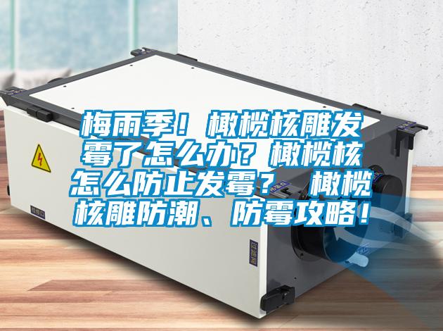 梅雨季！橄欖核雕發(fā)霉了怎么辦？橄欖核怎么防止發(fā)霉？ 橄欖核雕防潮、防霉攻略！