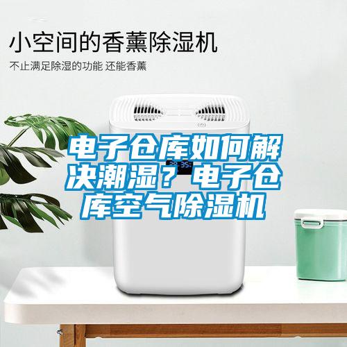 電子倉(cāng)庫(kù)如何解決潮濕？電子倉(cāng)庫(kù)空氣除濕機(jī)