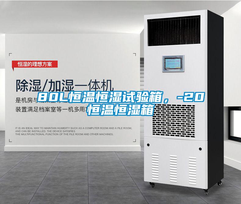 80L恒溫恒濕試驗(yàn)箱，-20℃恒溫恒濕箱