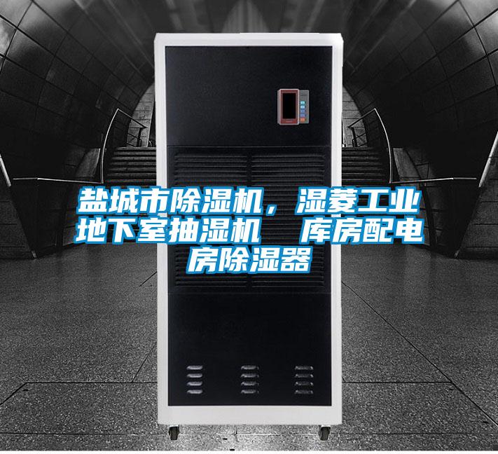 鹽城市除濕機(jī)，濕菱工業(yè)地下室抽濕機(jī)  庫房配電房除濕器