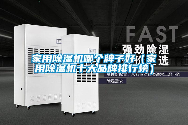 家用除濕機(jī)哪個牌子好（家用除濕機(jī)十大品牌排行榜）