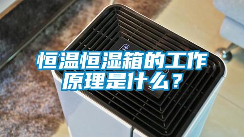 恒溫恒濕箱的工作原理是什么？