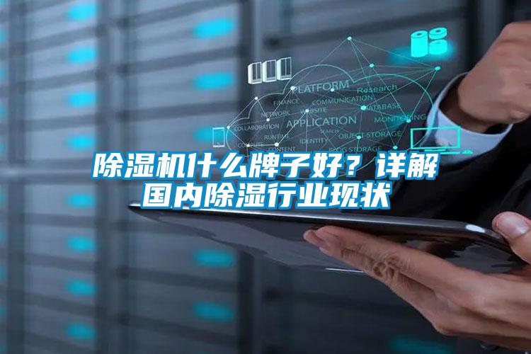 除濕機(jī)什么牌子好？詳解國內(nèi)除濕行業(yè)現(xiàn)狀