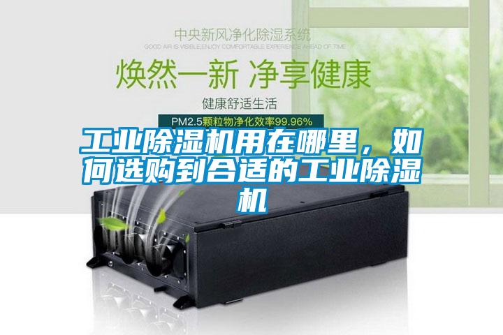 工業(yè)除濕機用在哪里，如何選購到合適的工業(yè)除濕機