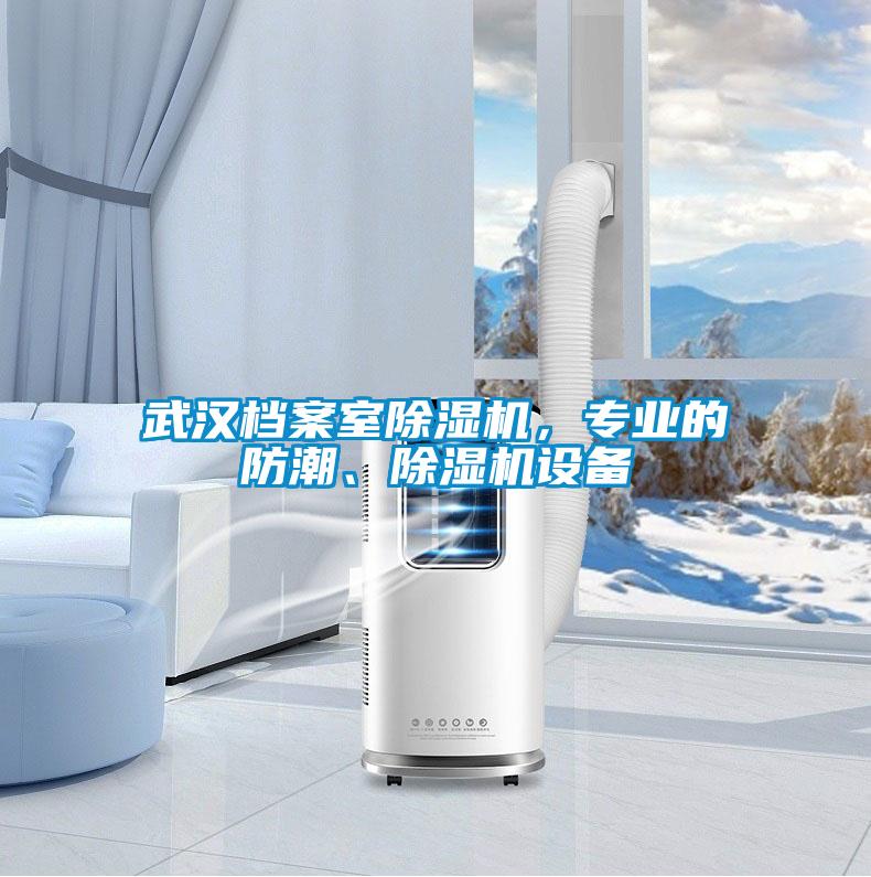武漢檔案室除濕機(jī)，專業(yè)的防潮、除濕機(jī)設(shè)備