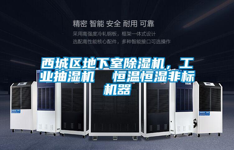 西城區(qū)地下室除濕機，工業(yè)抽濕機  恒溫恒濕非標機器