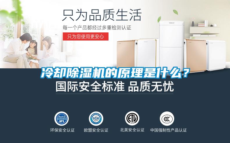 冷卻除濕機(jī)的原理是什么？