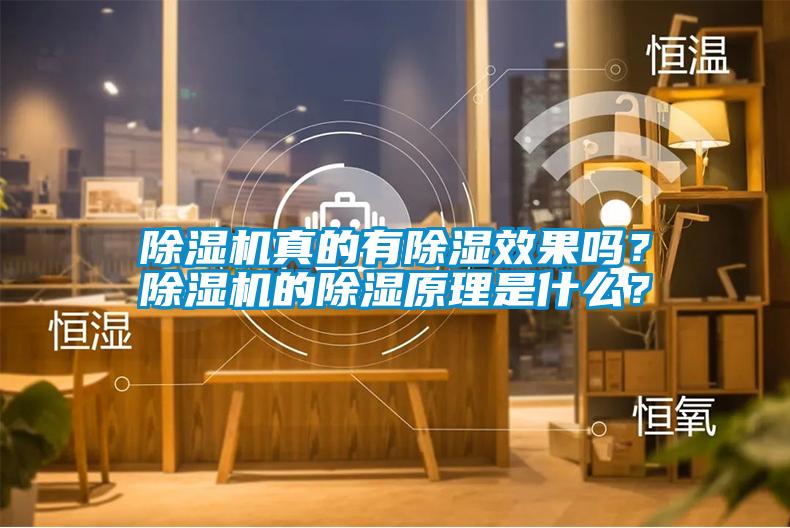 除濕機(jī)真的有除濕效果嗎？除濕機(jī)的除濕原理是什么？