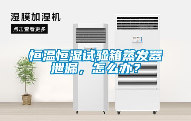 恒溫恒濕試驗(yàn)箱蒸發(fā)器泄漏，怎么辦？