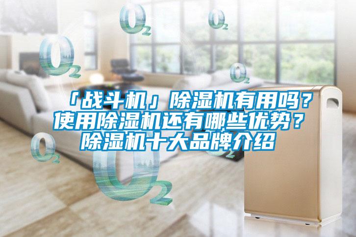 「戰(zhàn)斗機(jī)」除濕機(jī)有用嗎？使用除濕機(jī)還有哪些優(yōu)勢？除濕機(jī)十大品牌介紹