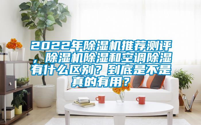 2022年除濕機推薦測評，除濕機除濕和空調(diào)除濕有什么區(qū)別？到底是不是真的有用？