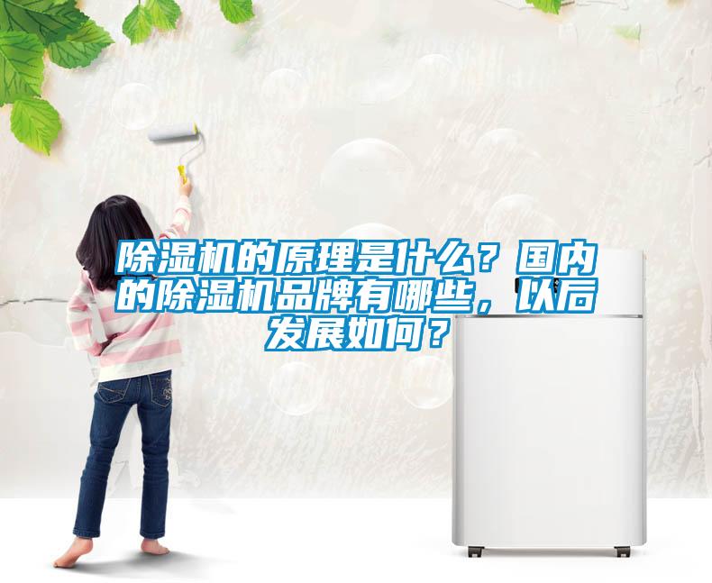 除濕機的原理是什么？國內(nèi)的除濕機品牌有哪些，以后發(fā)展如何？