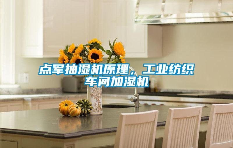 點軍抽濕機(jī)原理，工業(yè)紡織車間加濕機(jī)