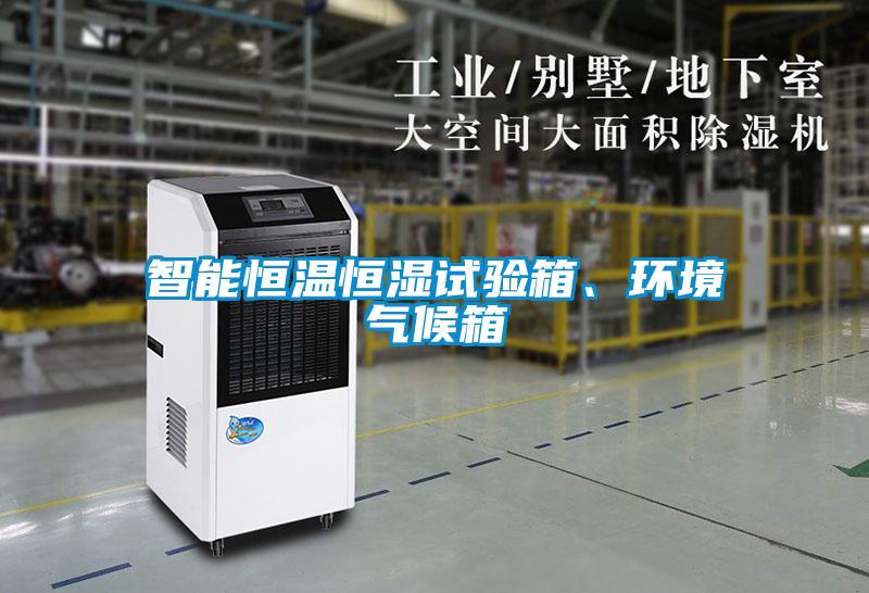 智能恒溫恒濕試驗(yàn)箱、環(huán)境氣候箱
