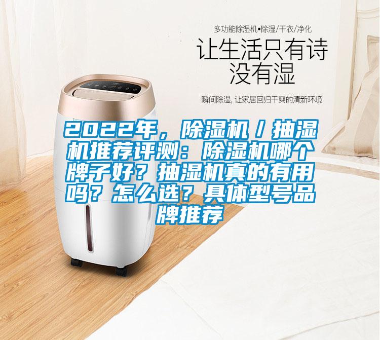 2022年，除濕機(jī)／抽濕機(jī)推薦評(píng)測：除濕機(jī)哪個(gè)牌子好？抽濕機(jī)真的有用嗎？怎么選？具體型號(hào)品牌推薦