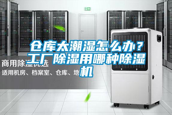 倉庫太潮濕怎么辦？工廠除濕用哪種除濕機