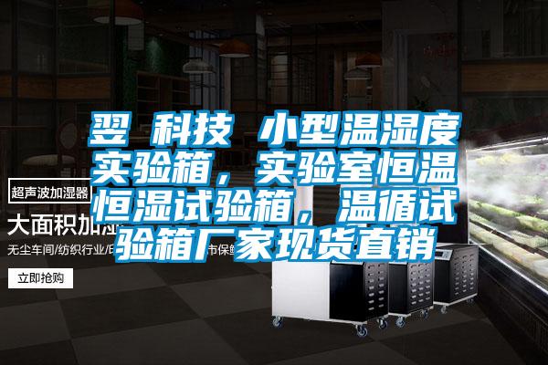 翌昇科技 小型溫濕度實驗箱，實驗室恒溫恒濕試驗箱，溫循試驗箱廠家現(xiàn)貨直銷