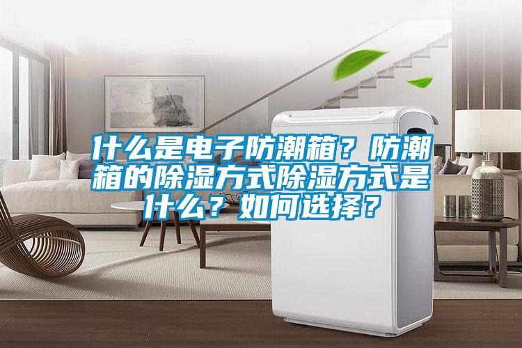 什么是電子防潮箱？防潮箱的除濕方式除濕方式是什么？如何選擇？
