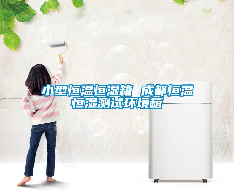 小型恒溫恒濕箱 成都恒溫恒濕測(cè)試環(huán)境箱