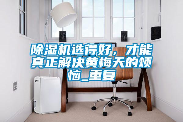 除濕機選得好，才能真正解決黃梅天的煩惱_重復