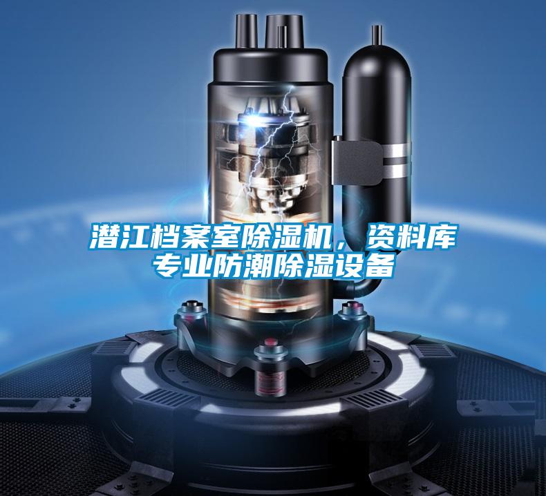 潛江檔案室除濕機(jī)，資料庫(kù)專業(yè)防潮除濕設(shè)備