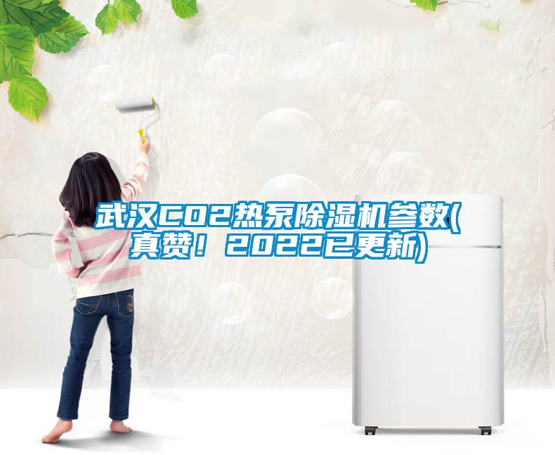 武漢CO2熱泵除濕機(jī)參數(shù)(真贊！2022已更新)