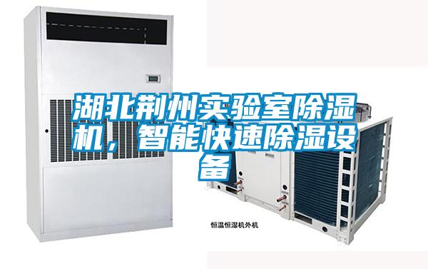 湖北荊州實(shí)驗(yàn)室除濕機(jī)，智能快速除濕設(shè)備