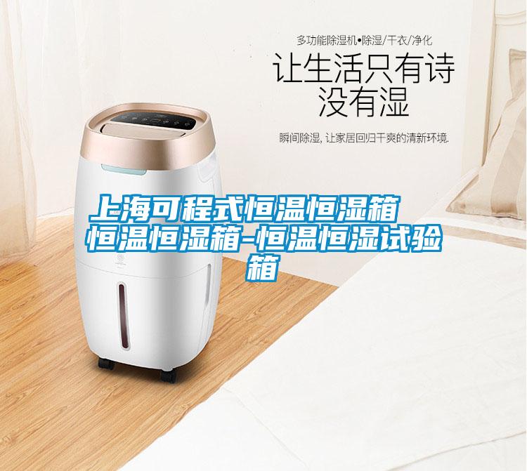 上?？沙淌胶銣睾銤裣? 恒溫恒濕箱-恒溫恒濕試驗箱