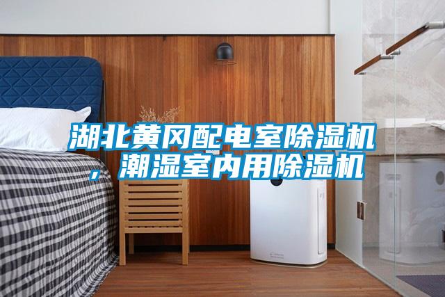 湖北黃岡配電室除濕機，潮濕室內(nèi)用除濕機