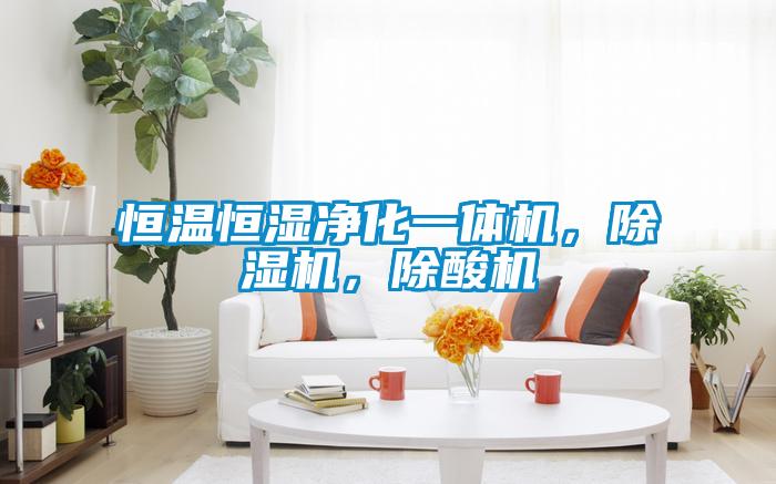 恒溫恒濕凈化一體機(jī)，除濕機(jī)，除酸機(jī)