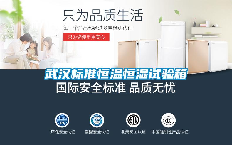 武漢標(biāo)準恒溫恒濕試驗箱