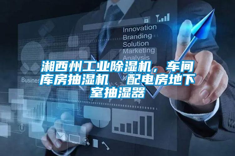 湘西州工業(yè)除濕機(jī)，車間庫房抽濕機(jī)  配電房地下室抽濕器