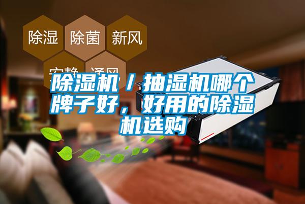 除濕機(jī)／抽濕機(jī)哪個牌子好，好用的除濕機(jī)選購