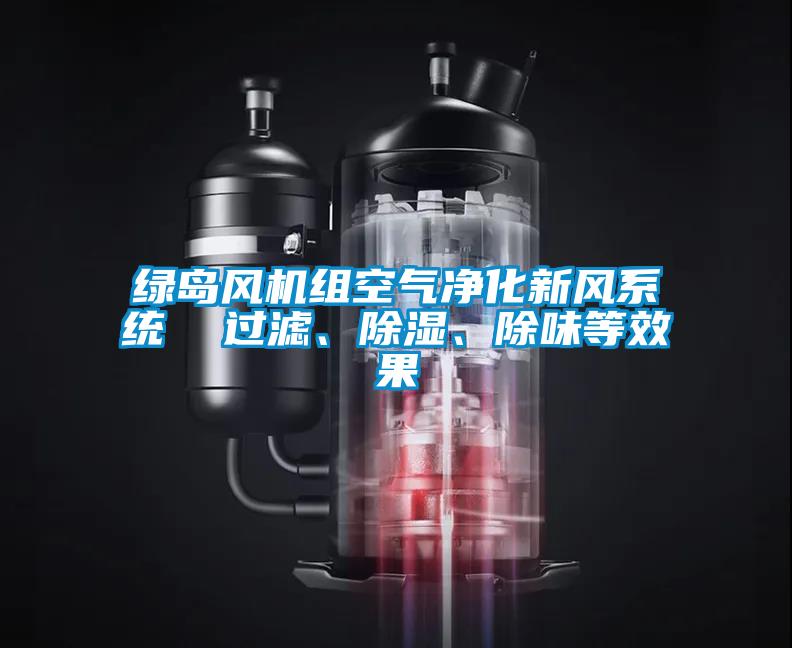 綠島風機組空氣凈化新風系統(tǒng)  過濾、除濕、除味等效果