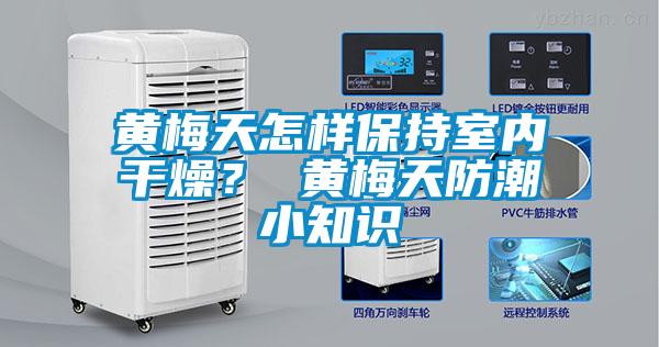 黃梅天怎樣保持室內(nèi)干燥？ 黃梅天防潮小知識(shí)