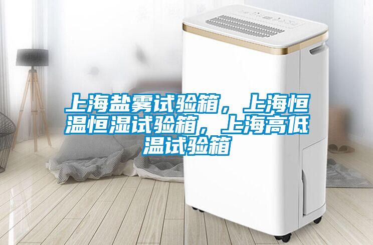 上海鹽霧試驗箱，上海恒溫恒濕試驗箱，上海高低溫試驗箱