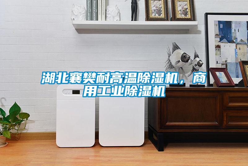 湖北襄樊耐高溫除濕機(jī)，商用工業(yè)除濕機(jī)