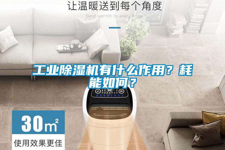 工業(yè)除濕機(jī)有什么作用？耗能如何？