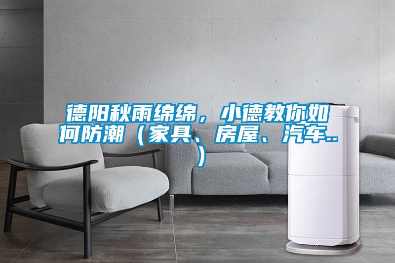 德陽秋雨綿綿，小德教你如何防潮（家具、房屋、汽車..）