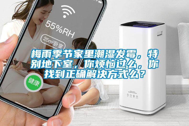 梅雨季節(jié)家里潮濕發(fā)霉，特別地下室，你煩惱過么，你找到正確解決方式么？