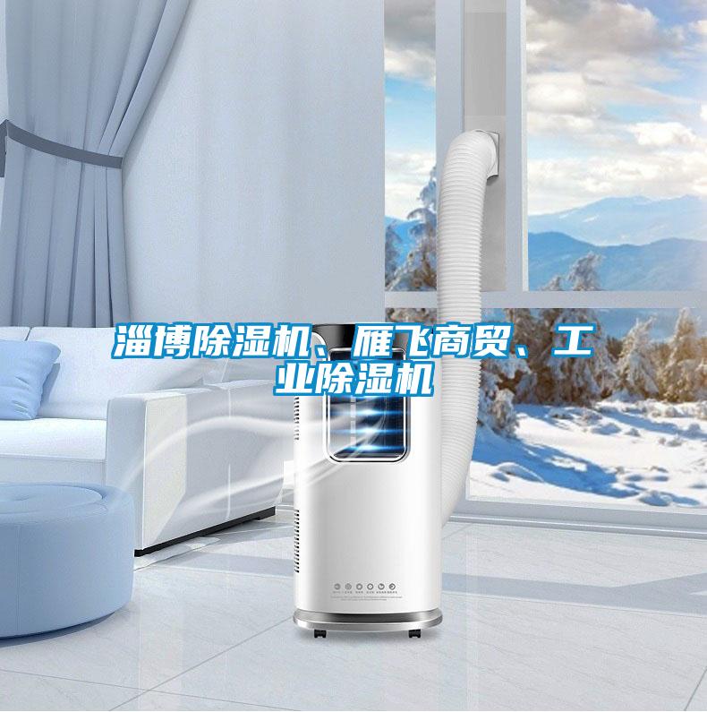淄博除濕機、雁飛商貿(mào)、工業(yè)除濕機