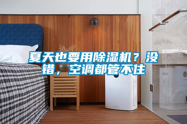 夏天也要用除濕機(jī)？沒(méi)錯(cuò)，空調(diào)都管不住