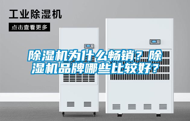 除濕機(jī)為什么暢銷(xiāo)？除濕機(jī)品牌哪些比較好？