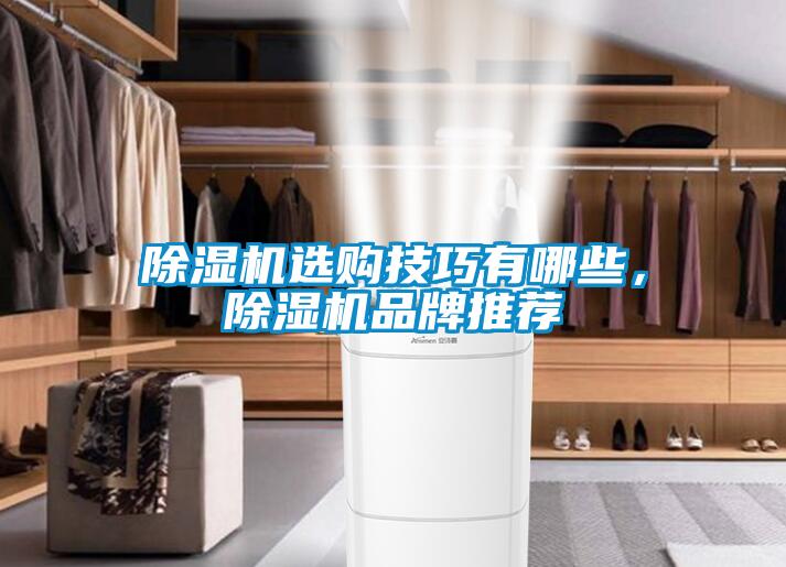 除濕機(jī)選購(gòu)技巧有哪些，除濕機(jī)品牌推薦