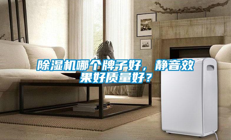 除濕機哪個牌子好，靜音效果好質量好？