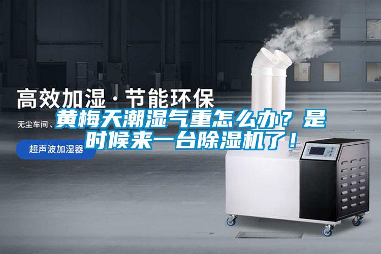 黃梅天潮濕氣重怎么辦？是時(shí)候來(lái)一臺(tái)除濕機(jī)了！