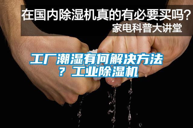 工廠潮濕有何解決方法？工業(yè)除濕機(jī)