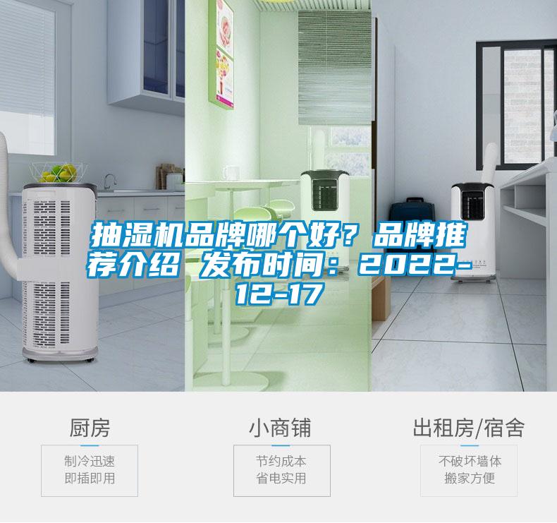 抽濕機品牌哪個好？品牌推薦介紹 發(fā)布時間：2022-12-17