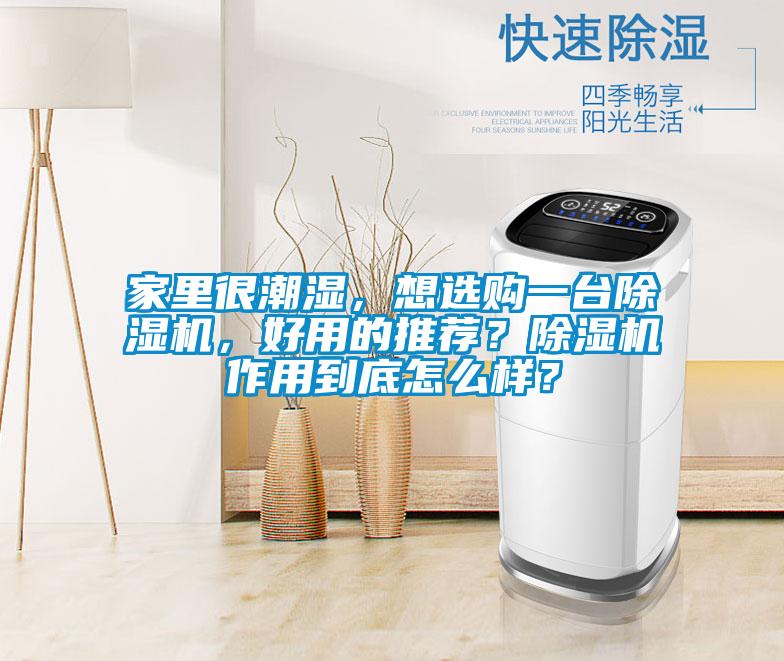 家里很潮濕，想選購一臺除濕機，好用的推薦？除濕機作用到底怎么樣？